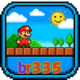 br335